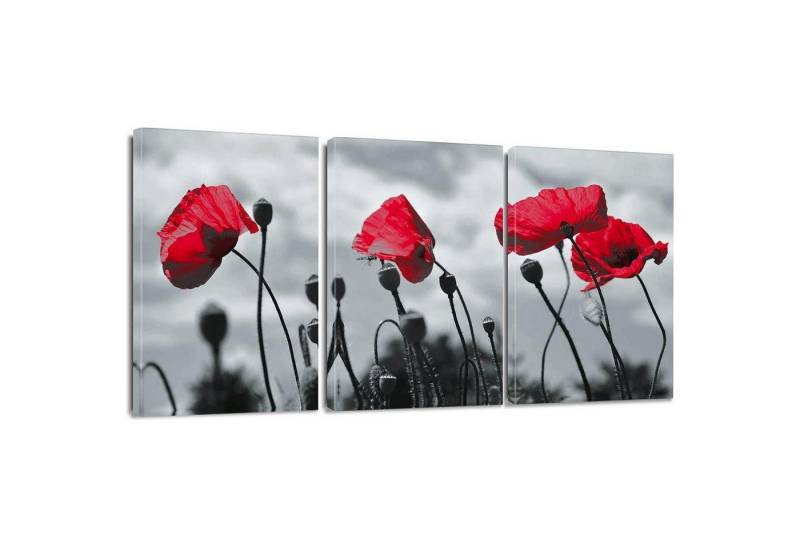 LuxusKollektion Mehrteilige Bilder Leinwandbilder 3 Teilig Kunstdruck Motiv Wandbild Rote Blume 30x40cm LuxusKollektion Mehrteilige Bilder Leinwandbilder 3 Teilig Kunstdruck Motiv Wandbild Rote Blume 30x40cm von LuxusKollektion