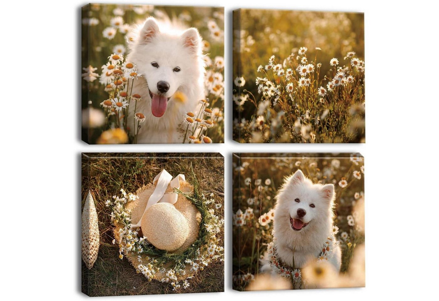 LuxusKollektion Mehrteilige Bilder Leinwandbilder 4teilig Kunstdruck 30x30cm Hund und Blumen 30x30cm LuxusKollektion Mehrteilige Bilder Leinwandbilder 4teilig Kunstdruck 30x30cm Hund und Blumen 30x30cm von LuxusKollektion