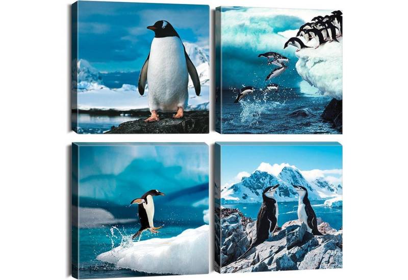 LuxusKollektion Mehrteilige Bilder Leinwandbilder 4teilig Kunstdruck Wohnzimmer 30x30cm Pinguin LuxusKollektion Mehrteilige Bilder Leinwandbilder 4teilig Kunstdruck Wohnzimmer 30x30cm Pinguin von LuxusKollektion