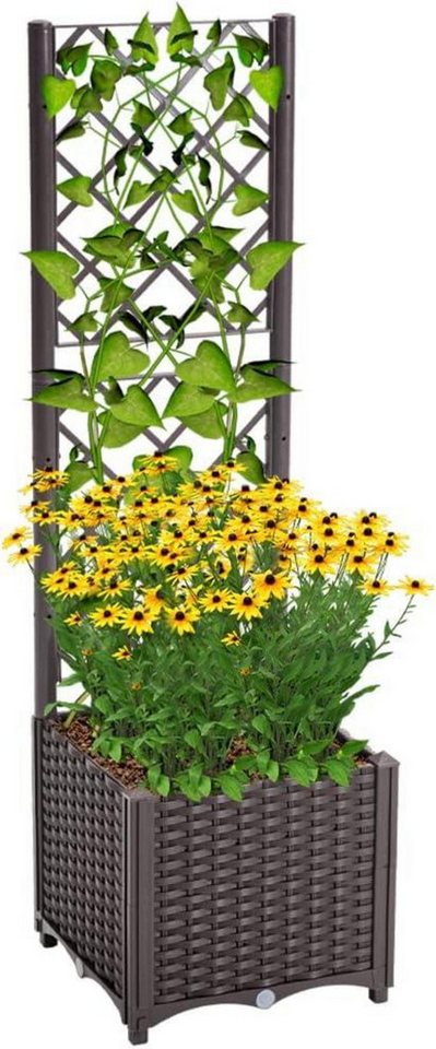 LuxusKollektion Pflanzkübel Pflanzkübel Spalier Rattan Kletterpflanzenkasten Hochbeet LuxusKollektion Pflanzkübel Pflanzkübel Spalier Rattan Kletterpflanzenkasten Hochbeet von LuxusKollektion