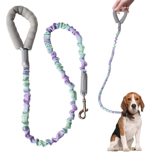 Hundeleine Elastisch 120 cm,Ruckdämpfer für Hunde Leine,Nylon-Klassik-Hundeleine,Hundeleine Ruckdämpfer Weicher Gepolsterter Griff,Für Kleine, Mittelgroße und Große Hunde Spazierengehen, Joggen,Grün von Luxvara