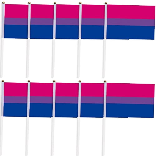 Luxylei Bisexuelle Stolz Regenbogenflaggen 10pcs Kleine Mini Hand Gehalten Bisexuell Bi Stick Flagge Schwule LGBT Festival Party Paraden Dekorationen von Luxylei