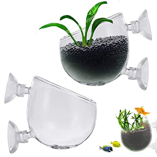 Lwtsrp 2 Stück Glas Cup Topf mit Saugnäpfen, Aquarium Pflanzenhalter, Glas Cup Aquarium Pflanzenhalter, Aquarium Pflanzen Live Crystal Glass Cup, für Aquarium-Landschaft Dekorationen von Lwtsrp