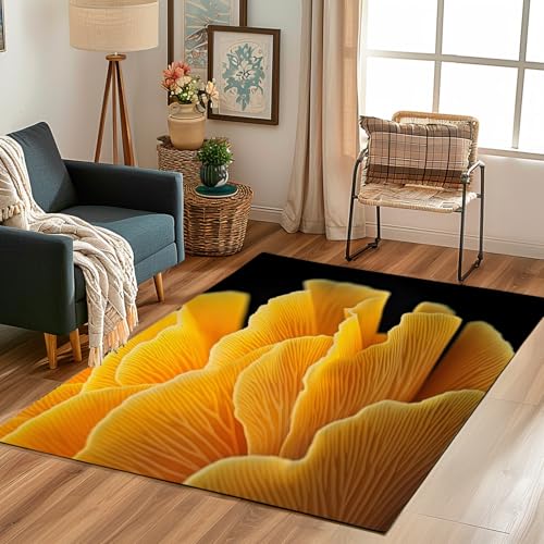Lwznbio Schwarz Weiß Feder Wohnzimmerteppich 200x280 cm Modern Minimalismus Teppich Kurzflor, Weich rutschfest Waschbare Teppiche Tier Feders Eingangsteppich Fußmatte Schlafzimmer Kinderzimmer von Lwznbio