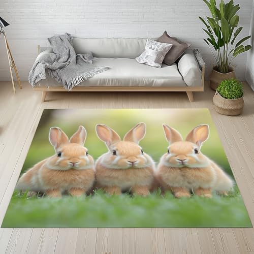 Lwznbio Teppich Läufer 80x150 cm Kaninchen 3D Drucken Wohnzimmerteppich Kurzflor Waschbar rutschfest Tierliebhaber Teppiche Weich für Eingang Flur, Küche, Wohnzimmer, Schlafzimmer Lwznbio Teppich Läufer 80x150 cm Kaninchen 3D Drucken Wohnzimmerteppich Kurzflor Waschbar rutschfest Tierliebhaber Teppiche Weich für Eingang Flur, Küche, Wohnzimmer, Schlafzimmer von Lwznbio
