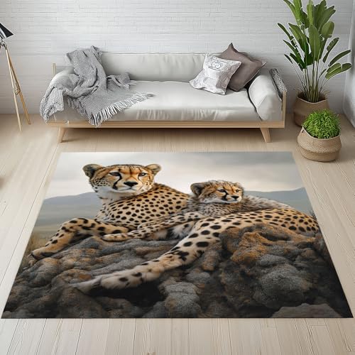 Lwznbio Teppich Läufer 80x150 cm Leopard 3D Drucken Wohnzimmerteppich Kurzflor Waschbar rutschfest Tierwelt Tierliebhaber Teppiche Weich für Eingang Flur, Küche, Wohnzimmer, Schlafzimmer Lwznbio Teppich Läufer 80x150 cm Leopard 3D Drucken Wohnzimmerteppich Kurzflor Waschbar rutschfest Tierwelt Tierliebhaber Teppiche Weich für Eingang Flur, Küche, Wohnzimmer, Schlafzimmer von Lwznbio