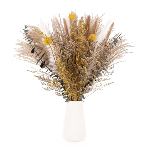 Getrocknete Pampasgras Deko Set 60 Stück Natürliche Pampasgras Trockenblumen Deko DIY Schilfgrasstrauß für Hochzeit Pflanzen Blumenstrauß Boho Pampas Deko für Wohnzimmer Home Hochzeit Vasen Tischdeko Getrocknete Pampasgras Deko Set 60 Stück Natürliche Pampasgras Trockenblumen Deko DIY Schilfgrasstrauß für Hochzeit Pflanzen Blumenstrauß Boho Pampas Deko für Wohnzimmer Home Hochzeit Vasen Tischdeko von Lyaor