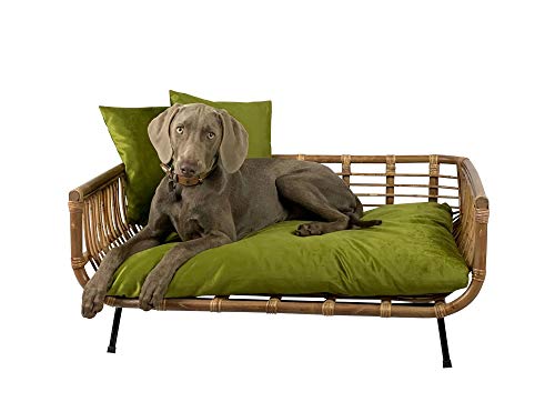 Lycce Hundebett Katzenbett Modern Samt mit Kissen Oliv 90cm x 57cm x 45cm von Lycce