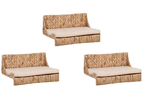 Lycce Wandliege Climby Wasserhyazinthe 3er Set Lycce Wandliege Climby Wasserhyazinthe 3er Set von Lycce