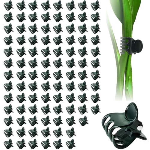 100 Stück Orchideen Klammern Pflanzenclips, 15 mm Dunkelgrüne Blumenclips, Wiederverwendbare Pflanzenklammern für Orchideen und Blumen, Stabil und Langlebig 100 Stück Orchideen Klammern Pflanzenclips, 15 mm Dunkelgrüne Blumenclips, Wiederverwendbare Pflanzenklammern für Orchideen und Blumen, Stabil und Langlebig von Lyivisk