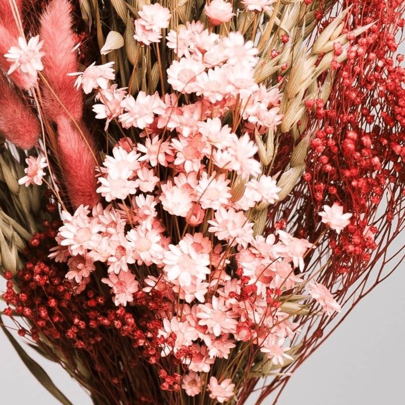 Lykke&You Ein Hauch von Rosa Trockenblumenstrauß mit Hafer Broom Bloom Lagurus und Glixia Lykke&You Ein Hauch von Rosa Trockenblumenstrauß mit Hafer Broom Bloom Lagurus und Glixia von Lykke&You