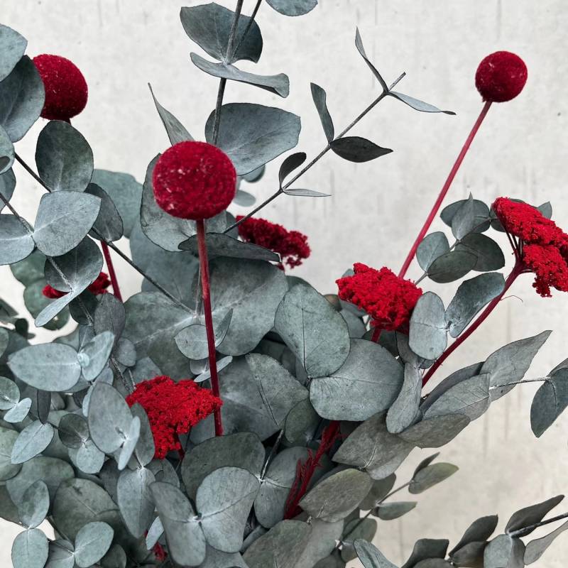 Lykke&You Pop of Color Eukalyptus Red Lykke&You Pop of Color Eukalyptus Red von Lykke&You