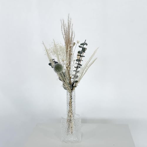 Trockenblumenstrauß Mini Eukalyptus Distel Größe 20 cm, Verpackungseinheit 1x, Farbe beige von Lykke & You