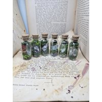 Glasfläschchen Mit Edelsteinen Und Moos - Heilsteine/Esoterik Glasfläschchen Mit Edelsteinen Und Moos - Heilsteine/Esoterik von LyncasCreations