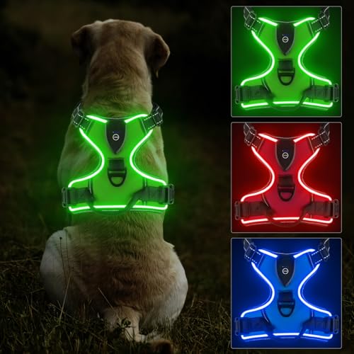 Lyneun Hundegeschirr Leuchtend Aufladbar, Atmungsaktiv Hundegeschirr mit Led Licht, Reflektierend Verstellbare Brustgeschirr mit Weicher Griff, 3 Beleuchtungs Modi Leuchtgeschirr für Hunde (Grün, S) Lyneun Hundegeschirr Leuchtend Aufladbar, Atmungsaktiv Hundegeschirr mit Led Licht, Reflektierend Verstellbare Brustgeschirr mit Weicher Griff, 3 Beleuchtungs Modi Leuchtgeschirr für Hunde (Grün, S) von Lyneun