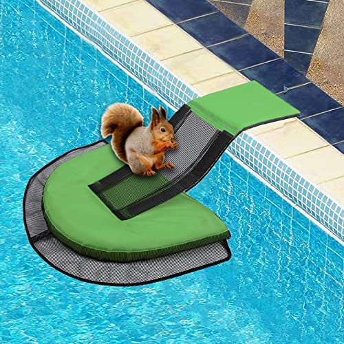 Rettungsrampe für Pool,Pool Escape Ramp,Escape Ramp,Poolfluchtrampe für Kleintier Swimming, Schwimmendes Tierrettungswerkzeug für Schwimmbecken, um kleine Tiere, Frösche, Kröten, Tiere von Lyoveu