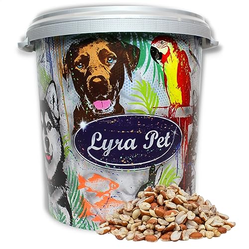 Lyra Pet® | 10 kg Erdnusskerne Splits Gemischt Blanchiert & mit Haut + 30 L Tonne | Ballaststoffreiches Wildvogelfutter | Teilblanchierte Geteilte Erdnüsse | Sommer & Winter | Energiequelle Wildvögel von Lyra Pet