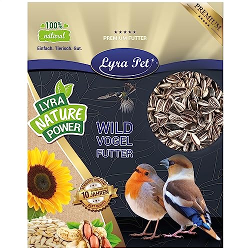 Lyra Pet® | 20 kg Sonnenblumenkerne Gestreift | Wildvogelfutter für Sommer & Winter | Ideal für Freilebende Vögel | Vogelfutter für das Ganze Jahr | Ölreiches Streufutter | Kräftige & Gesunde Schnäbel von Lyra Pet