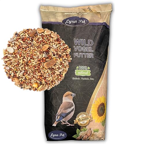 Lyra Pet® | 20 kg Streufutter schalenfrei | Neue Ernte | Schalenloses Vogelfutter | Energie für Wildvögel | Wildvogelfutter für das Ganze Jahr | Ohne Schalen & Fettreich | Optimal für den Balkon von Lyra Pet