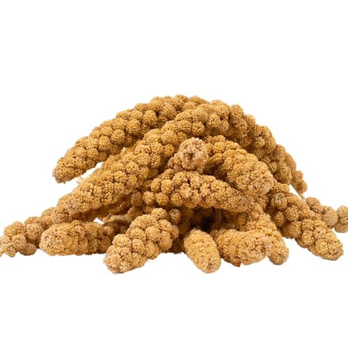 Lyra Pet® | 3 kg Kolbenhirse gelb | Ganzjähriges Vogelfutter für Ziervögel & Wildvögel | Handverlesene gelbe Hirse | Nährstoffreiche, naturbelassene Hirsekolben | Für Wellensittiche & Kanarienvögel von Lyra Pet