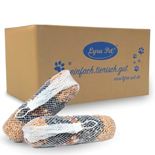 Lyra Pet® | 4 STK. Riesen-Futterstange je 600 g | Vogelfutter zum Aufhängen | Energiequelle für Wildvögel im Sommer & Winter | Ideal für Balkon & Terrasse | Nährstoffreich & Dekorative Mischung von Lyra Pet