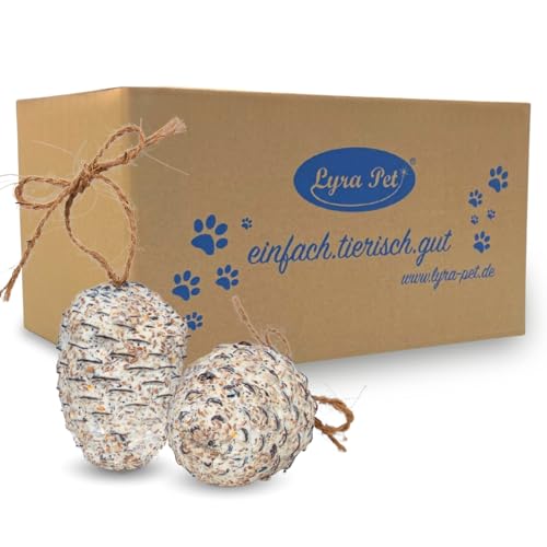 Lyra Pet® | 4 STK. Riesenzapfen | Pinienzapfen mit Fettfutter gefüllt | Nahrhaftes Vogelfutter im Sommer & Winter | Wertvoller Energielieferant für Wildvögel | Fettreich & Biologisch Abbaubar von Lyra Pet