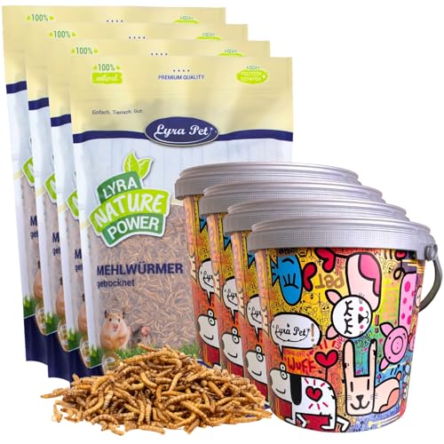 Lyra Pet® | 4 x 10 Liter Mehlwürmer getrocknet in 10 L Design Eimer | Reichhaltige Proteinquellle für Insektenfresser | Futter für Vögel, Reptilien, Amphibien & Fische | Wildvogelfutter Ganzjährig von Lyra Pet
