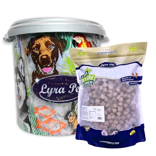 Lyra Pet® 5 kg Artemia Würfel getrocknet in 30 L Tonne | Gefriergetrocknetes Futter aus Salinenkrebsen | Reich an Proteinen, Fetten & Ballaststoffen | Natürliche Nahrung für Zierfische & Reptilien von Lyra Pet