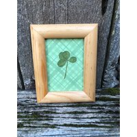 Echtes Vierblättriges Kleeblatt Eingerahmt Echtes Vierblättriges Kleeblatt Eingerahmt von Lyvondesign