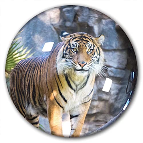 Kühlschrankmagnet mit Tiger-Motiv, dekorativer Magnet, Reise-Souvenir, Kristallglas von Lywallca