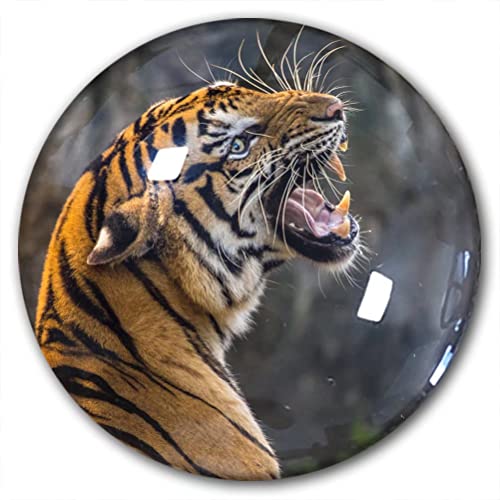 Kühlschrankmagnet mit Tiger-Motiv, dekorativer Magnet, Reise-Souvenir, Kristallglas von Lywallca