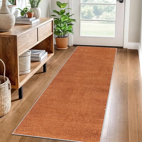 Teppich Läufer Flur Küche rutschfest Küchenteppich 40 x 60 cm Waschbar Küchenläufer Flurteppich Fußmatte Flur Runner Teppiche Korridor Teppich Eingangsteppich Lang Teppichläufer für Entryway Küche von LzreXnvoFxg