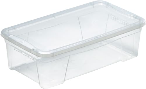 Mondex PLS613–00 8,7 Liter klar Kunststoff Aufbewahrungsbox mit Deckel für Kleidung und Schuhe 41, 5 x 24 x 14 cm von Mondex