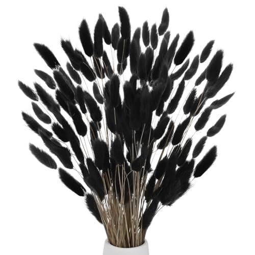 M METERXITY 180Stück Hasenschwanzgras 17 Zoll Flauschiges Kaninchenschwanzgras Trockenblumen Zweige Vasenfüller Trockengras Deko für Zuhause/Hochzeit/Vase/Büro/Party [Schwarz] von M METERXITY