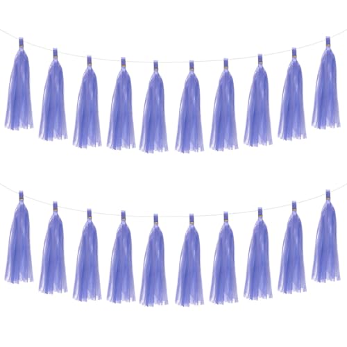 M METERXITY 20er-Pack Quastengirlande mit Seil Papiertasche 13,8 Zoll Quastengirlande Dekor Quastenbanner für Jubiläum/Hochzeit Geburtstag/Party/Tisch [Helllila] von M METERXITY