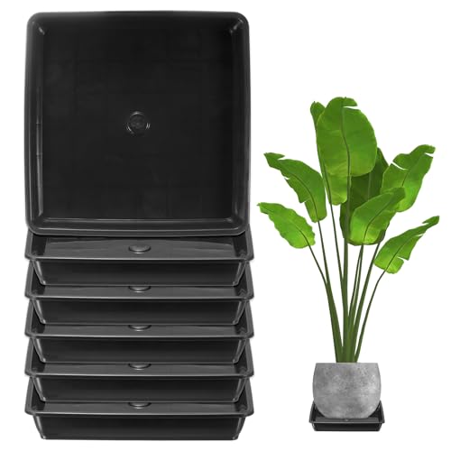 M METERXITY 6er-Pack Pflanzentopf-Untersetzer, 6 Zoll Kunststoffquadrat-Blumentropfschale, Topf ohne Löcher, strapazierfähige Pflanzenschalen für Töpfe drinnen/draußen Pflanzen [Schwarz] von M METERXITY