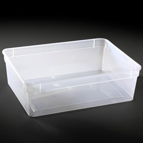 M&S Reptilien Kunststoffbox transparent, groß (24x18x7,5 cm) Deckel transparent von M&S Reptilien