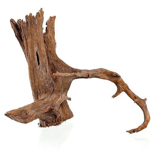 M&S Reptilien Mangrovenwurzel - medium/Large 40-50cm von M&S Reptilien