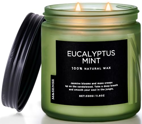 M&SENSE Duftkerze Eukalyptus Minze,330g 70 Stunden lang brennend, große Kerzen mit 2 Docht, dekorative Kerzen im Glas, natürliches Sojawachs, Aromatherapie Kerze zur Entspannung für Spa, Bad, Yoga von M&SENSE