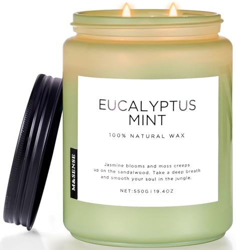 M&SENSE Duftkerze Eukalyptus Minze,550g 90 Stunden lang brennend, große Kerzen mit 2 Docht, dekorative Kerzen im Glas, natürliches Sojawachs, Aromatherapie Kerze zur Entspannung für Spa, Bad, Yoga von M&SENSE