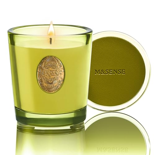 M&SENSE Duftkerze Seattle Rainforest,260g Duftkerzen im Glas Natürliche Soja-Kerze,55 Stunden Brenndauer,Kerzengeschenke für Frauen & Männer,Geschenk Kerze M&SENSE Duftkerze Seattle Rainforest,260g Duftkerzen im Glas Natürliche Soja-Kerze,55 Stunden Brenndauer,Kerzengeschenke für Frauen & Männer,Geschenk Kerze von M&SENSE