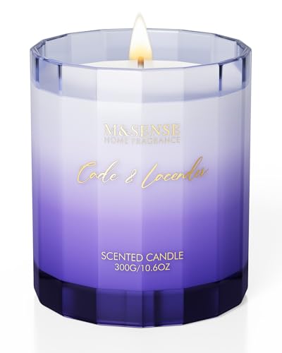 M&SENSE Lavendel Kerze im Glas,Natürliche Wachskerze mit Floralem Aroma, Aromatherapie Kerze für Entspannung, 300g 60 Std. Brenndauer, große duftende Kerze Luxuskerze Geschenk und Heimdekoration M&SENSE Lavendel Kerze im Glas,Natürliche Wachskerze mit Floralem Aroma, Aromatherapie Kerze für Entspannung, 300g 60 Std. Brenndauer, große duftende Kerze Luxuskerze Geschenk und Heimdekoration von M&SENSE