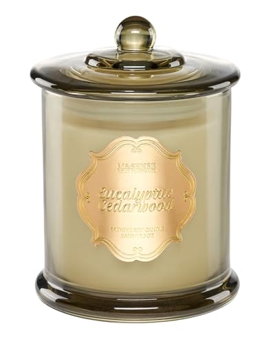 M&SESNE Duftkerze im Glas Eukalyptus Zedernholz Kerze mit langer Brenndauer über 60 Stunden Natürliche Sojakerze als Heim Deko Kerze für Männer M&SESNE Duftkerze im Glas Eukalyptus Zedernholz Kerze mit langer Brenndauer über 60 Stunden Natürliche Sojakerze als Heim Deko Kerze für Männer von M&SENSE