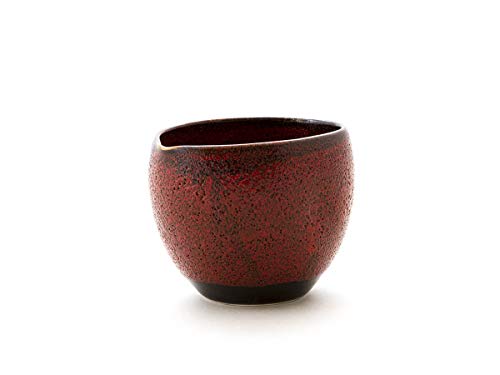 Miyazaki - Japanische Sake Karaffe Shuin, Rot aus Toki Porzellan, der Tafelgeschirr Serie Shuin von M.style Miyazaki Co. LTD.