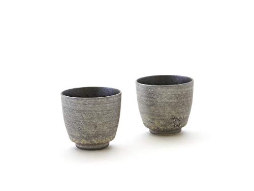 Miyazaki - Sake Becher Silber 2er Set aus japanischem Porzellan der Geschirr-Serie Shusetsu. 45 ml. Hergestellt in dem berühmten Arita, Japan von M.style Miyazaki Co. LTD.