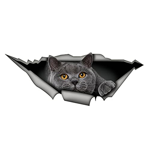 MACMRD Auto Aufkleber 15Cm X 6Cm Lustiger Katzen-Auto-Aufkleber Grauer Katzen-Aufkleber wasserdichte 3D-Auto-Styling-Aufkleber-Dekoration MACMRD Auto Aufkleber 15Cm X 6Cm Lustiger Katzen-Auto-Aufkleber Grauer Katzen-Aufkleber wasserdichte 3D-Auto-Styling-Aufkleber-Dekoration von MACMRD
