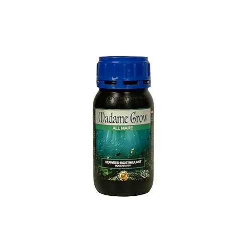 Madame Grow - Natürlicher Grünpflanzendünger - Nährstoffbooster - Flüssigdünger auf Basis von einzelligen Süßwasseralgen - Schützt vor phänologischen Stress - Booster 0-0-1 - All Mare Format 250 ml Madame Grow - Natürlicher Grünpflanzendünger - Nährstoffbooster - Flüssigdünger auf Basis von einzelligen Süßwasseralgen - Schützt vor phänologischen Stress - Booster 0-0-1 - All Mare Format 250 ml von MADAME GROW