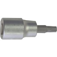 Connex Steckschlüssel-Einsatz 1/2 x tx Steckschlüsseleinsatz Connex Steckschlüssel-Einsatz 1/2 x tx Steckschlüsseleinsatz von MADIDEF