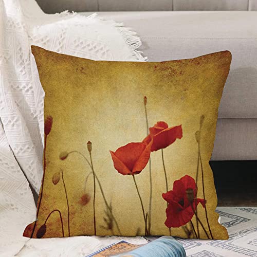 Haushaltsprodukte Polyester Kissenbezug,Mohn Mohnblumen und Blütenknospen auf dunklem Grunge-,Dekorative Kissenhülle mit Strapazierfähigem Verstecktem Reißverschluss für Sofa Schlafzimmer Auto 45X45cm von MADVEI