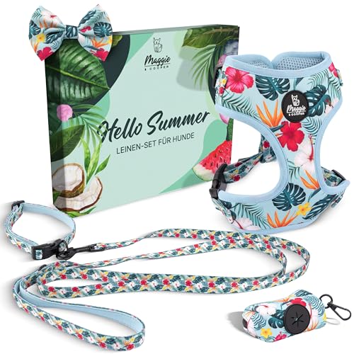 MAGGIE & COOPER Leinen-Set für Hunde – Design Hawaii Breeze – 5-teilig: Halsband, Geschirr, Leine, Schleife, Kotbeutelspender – 4 Größen – Geschenkverpackung (S) von MAGGIE & COOPER